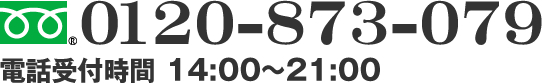 フリーダイヤル　0120-873-079